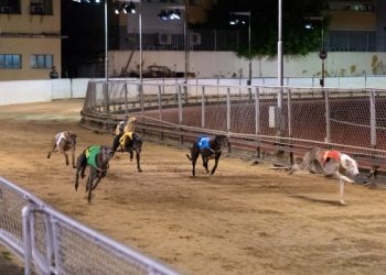 DICJ vetos Macau Canidrome extension request