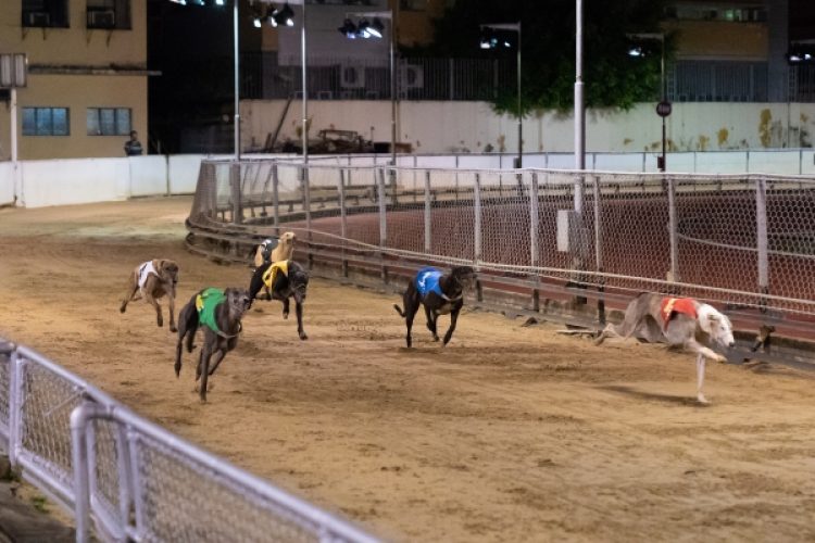 DICJ vetos Macau Canidrome extension request