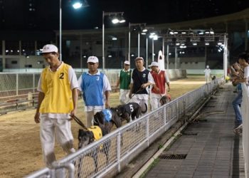 Macau Canidrome site to become a land reserve for public facilities