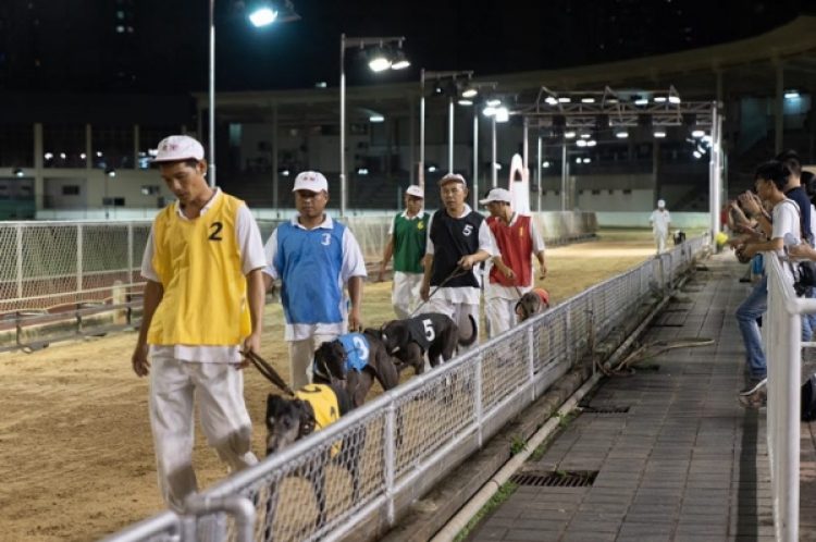 Macau Canidrome site to become a land reserve for public facilities