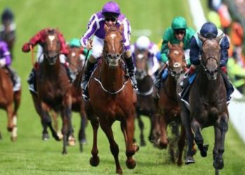 Racing Australia cracks down on illegal offshore bookmakers