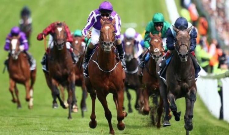 Racing Australia cracks down on illegal offshore bookmakers