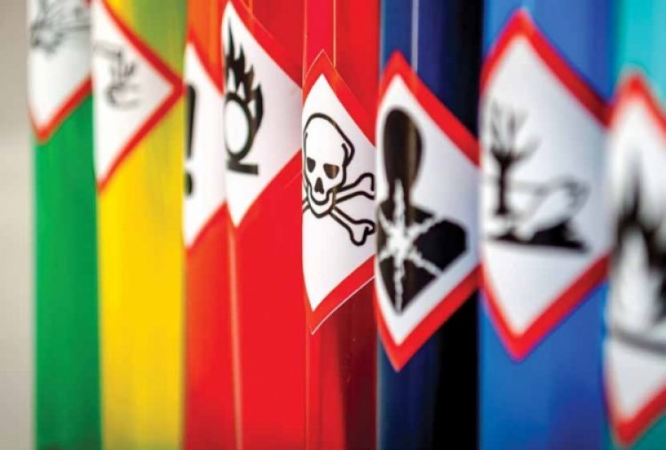 Five signs that your organizational culture is toxic to customer experience