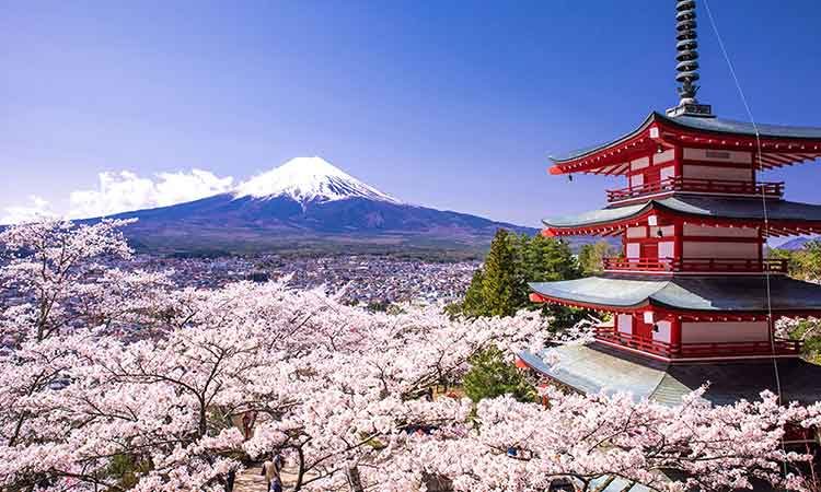 Inside Asian Gaming to launch IAG Japan in 2019