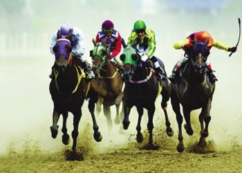 Hong Kong firm in talks to build US$200 million horse racing complex in Vietnam