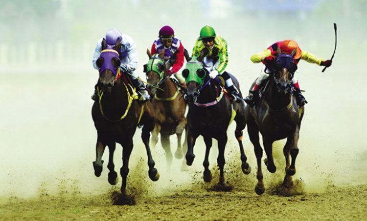 Hong Kong firm in talks to build US$200 million horse racing complex in Vietnam