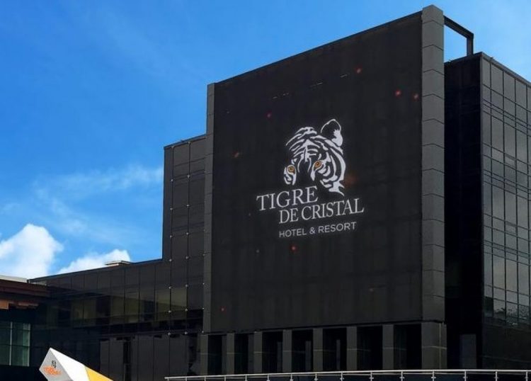 Mass market growth at Tigre de Cristal sees Summit Ascent move into profit in 2018