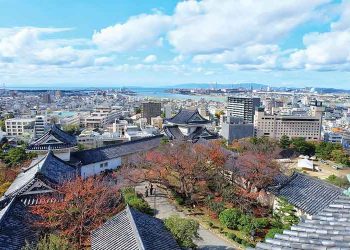 Why not Wakayama?