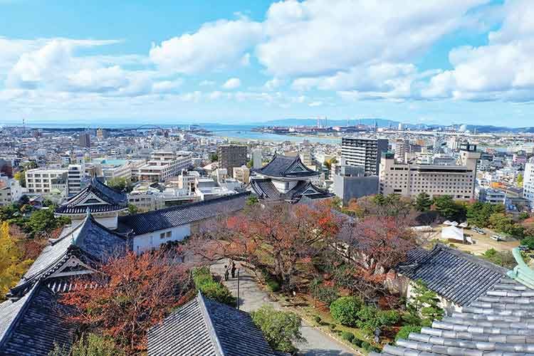 Why not Wakayama?