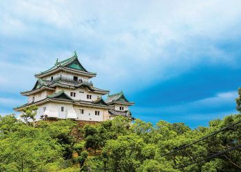 Why not Wakayama?