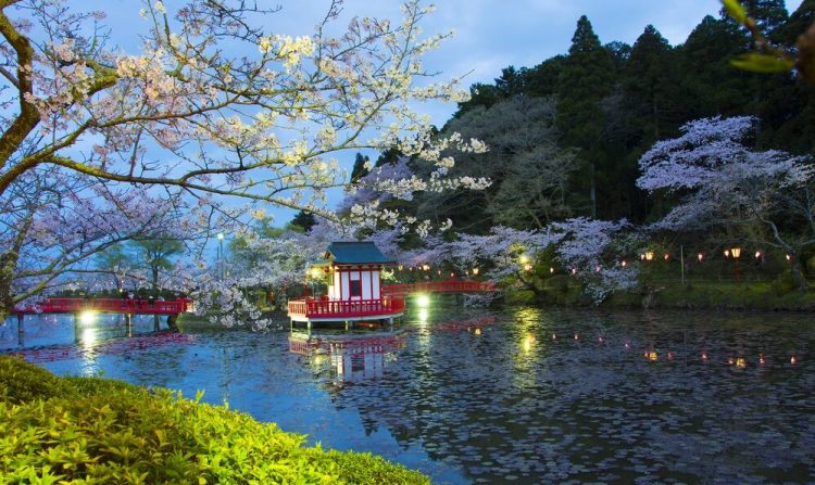 49% of Chiba residents opposed to a local IR