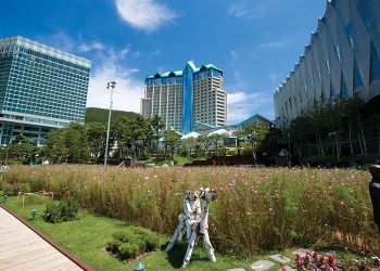 One Night in Kangwon