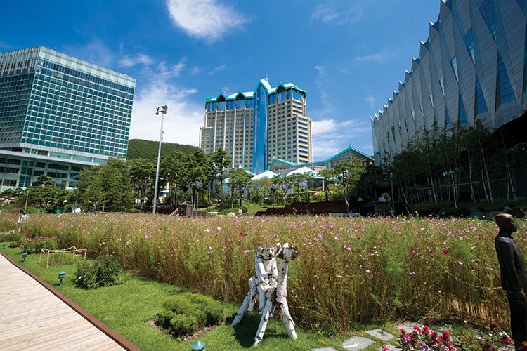 One Night in Kangwon