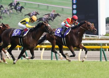 JRA bans 156 horses from races due to prohibited drugs being found in feed