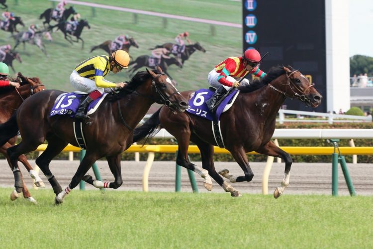 JRA bans 156 horses from races due to prohibited drugs being found in feed