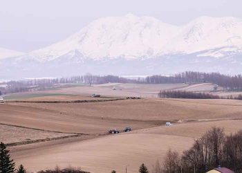 Racehorse breeder Northern Farm to donate land for Hokkaido IR Bid