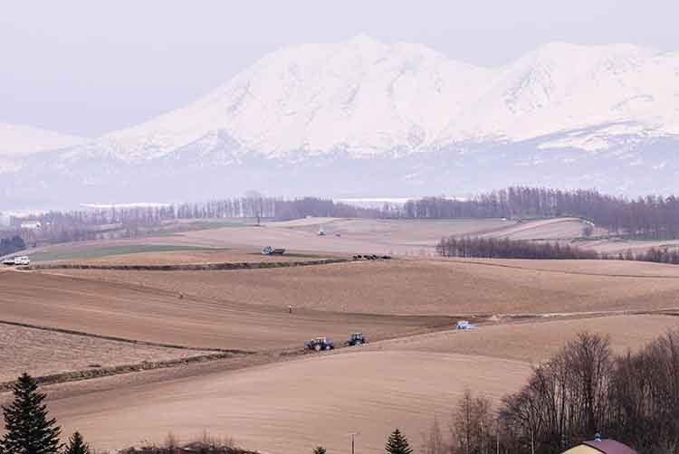 Racehorse breeder Northern Farm to donate land for Hokkaido IR Bid