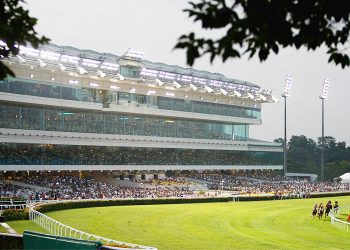Singapore Racecourse converting facilities into recovery centers for COVID-19 patients