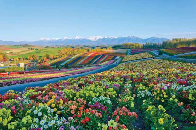 Still a chance for Hokkaido?