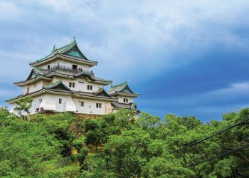 2021: Japan IR – Crunch time