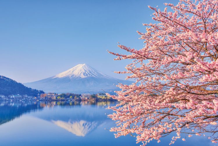 2021: Japan IR – Crunch time part 2