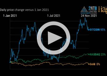 Cryptocurrencies vs Gold vs Stocks through 24 November 2021