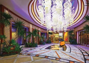 Solaire: A leader  in safety