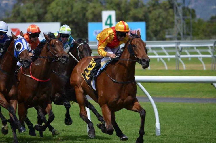 Recently listed Australian racing and wagering data supplier RAS Technology sees revenue soar