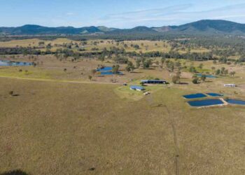Star Entertainment Group to launch carbon farm in Queensland