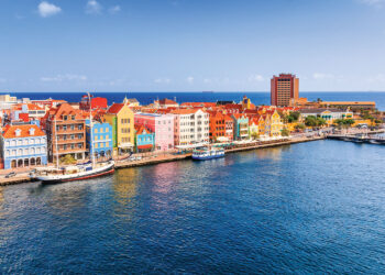 Editorial: Gray matter