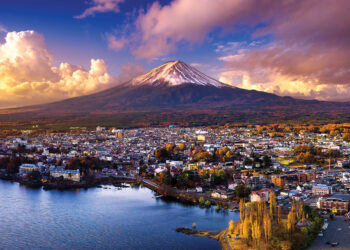 Regulatory issues in Japan