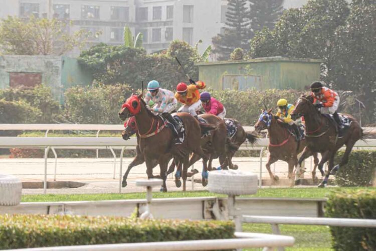 Legislative Assembly member claims to have received numerous requests for help from Macau Jockey Club employees