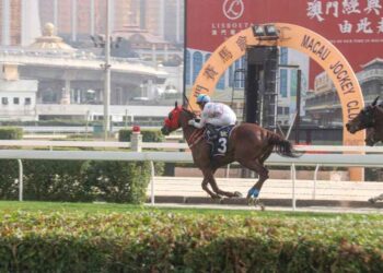 Macau horse owners send open letter to government requesting compensation for losses due to MJC closure