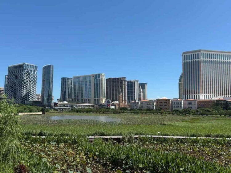 Macau GGR up 14.4% year-on-year to MOP$21.1 billion in November