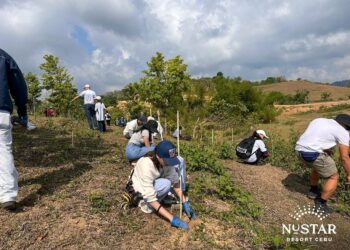NUSTAR Resort Cebu works with local community on tree-planting activity to support reforestation