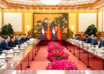 China to form international alliance to combat online fraud, launch planned for September